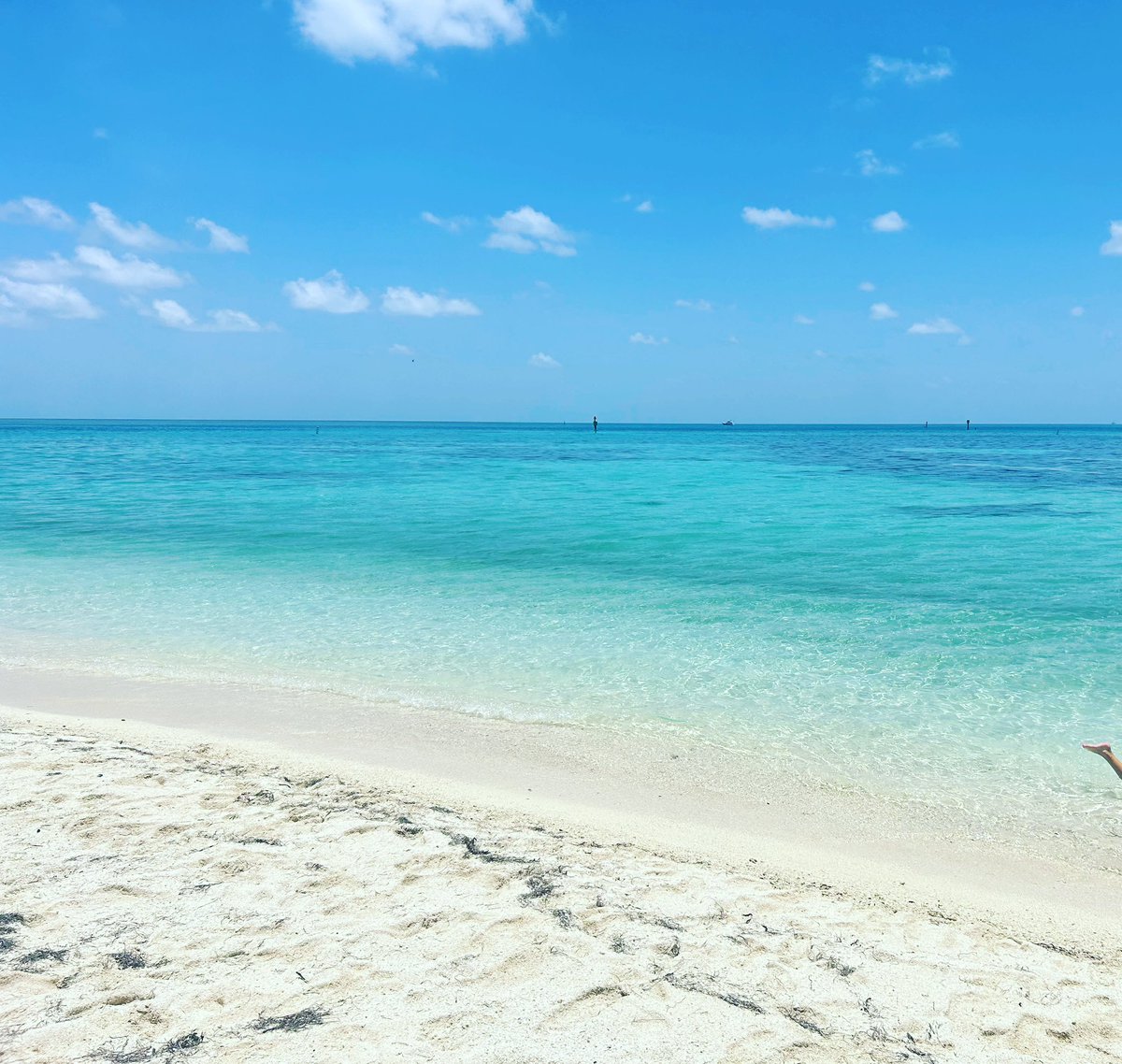 TNewbolt's tweet photo. #drytortugas https://t.co/RojyZqeF0M