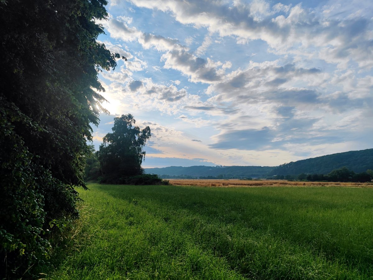 TeufelzWerk's tweet photo. Nabönd.
Die Luft heute war anstrengend, aber das #Gewitter hat dafür die Radwege freigespült. Top Job, endlich mal allein unterwegs 😉😆😎
#bike #Burg #Blankenstein https://t.co/zGIJXOrjC0