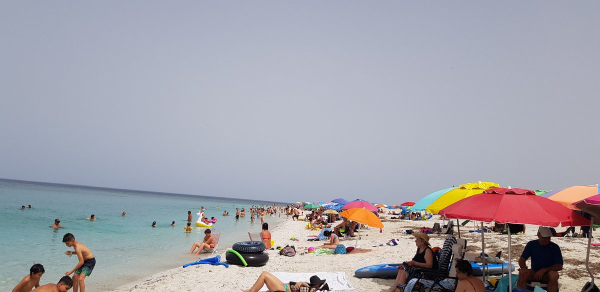 Albina Bianca Maria tweet media