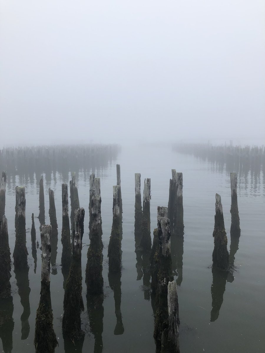 WriterNorm's tweet image. For this San Francisco boy a foggy day in #PortlandMaine feels very much like home.