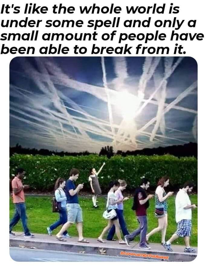 Yeah... I'm definitely the weirdo in the background 🤷‍♀️😂