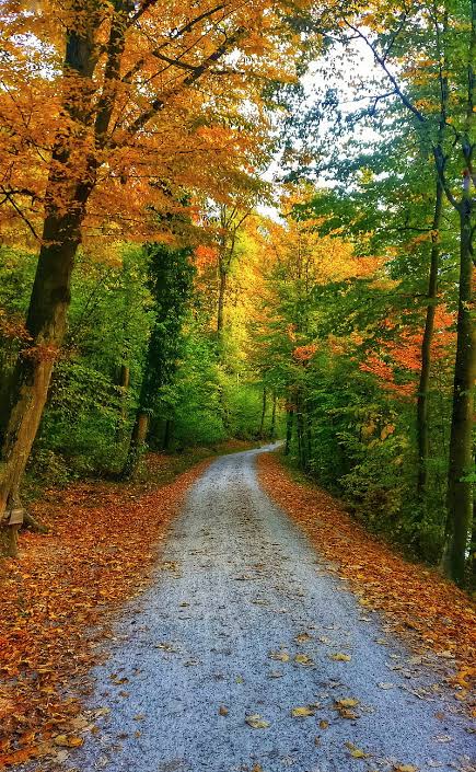 #HappyRoadFromPeru
In each of our actions we can find wisdom
Reflect & learn
Linten to be kind, it's courtesy
To pay attention, to understand, is to value
Listening to learn, is intelligence
To feel, is to love
Advice is not just words
It's words with feelings & good intentions🧡