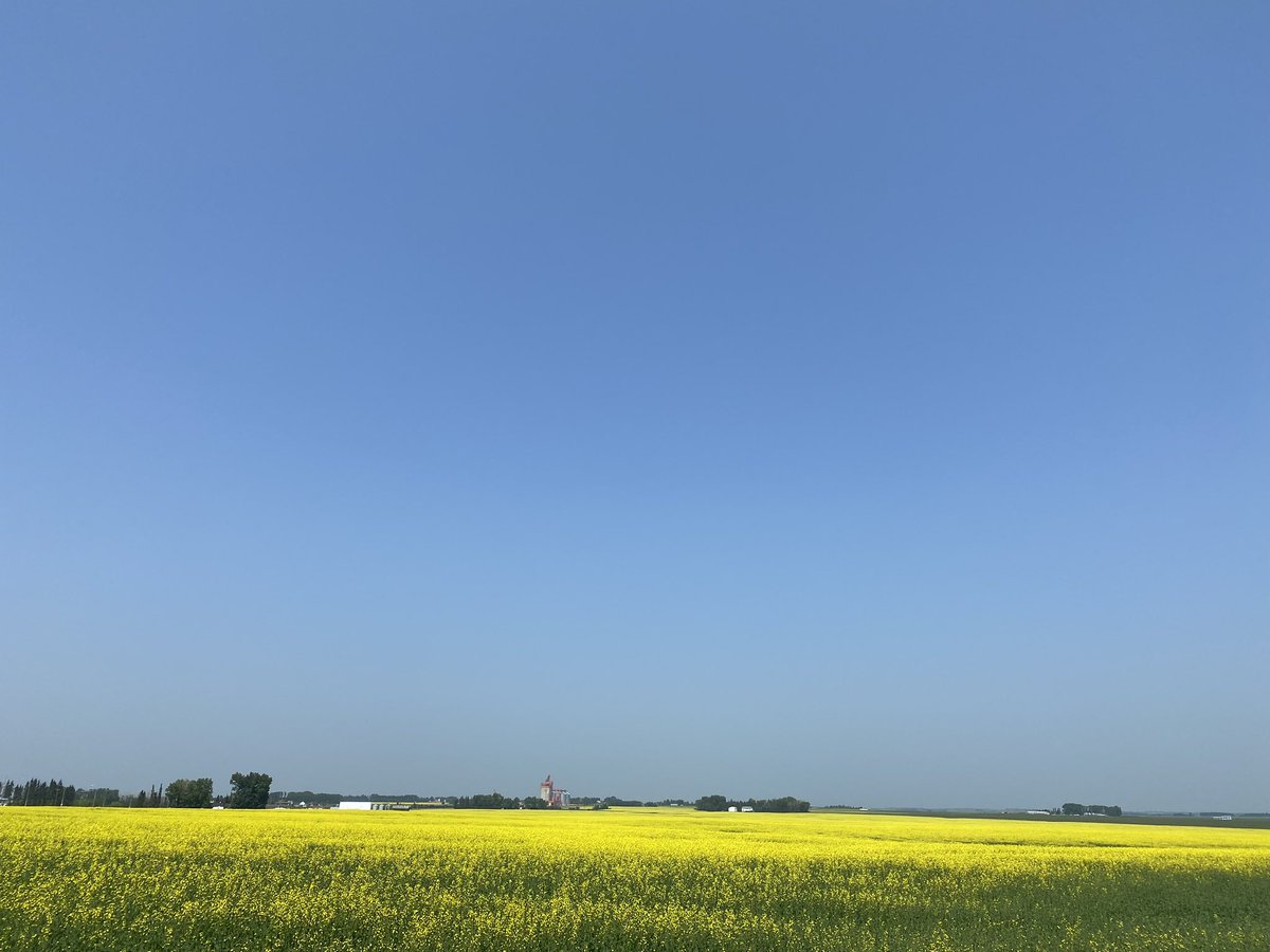 Kelsey Banks tweet media