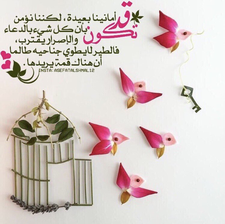 #تصميمي
#حلم_الأميرات_للدعم