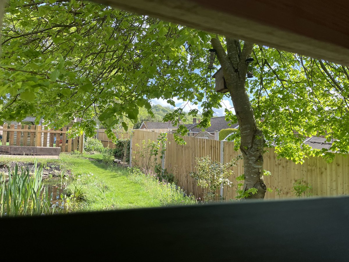 Harting CofE Primary School tweet media