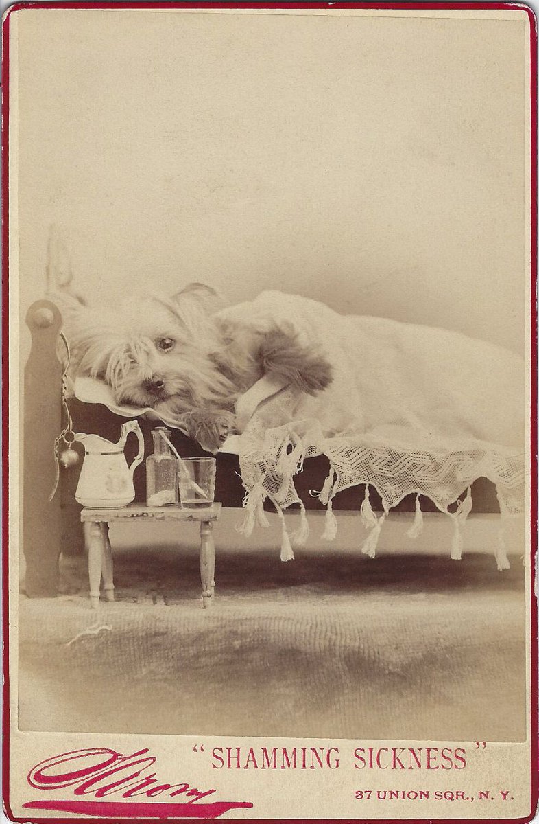 ThanatosArchive's tweet photo. Late-1880s https://t.co/ehiWwGr9iI