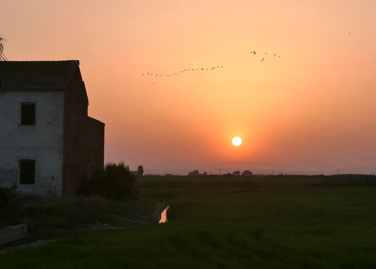 FuriMiquel's tweet photo. Capvespres que enamoren. Parc Natural de l’Albufera. Sueca. @apuntoratge @oratgenet @avamet @meteoval @eltiempola8tv #capvespres #parcnaturalalbufera https://t.co/0yNfiHFmLe