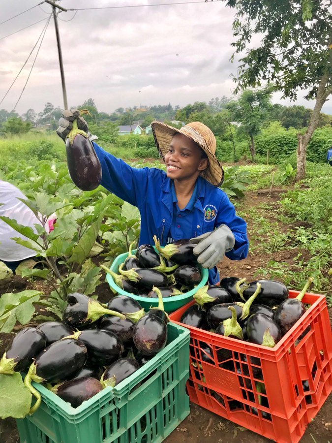 ❇️ Time and again field evidence suggest we cannot ignore #smallholder #farmers in our attempt to #EndHunger & #ReducePoverty. 

❇️ #ZeroHunger #NoPoverty & #FoodSecurity in the 🌎 begins with investment in #RuralAgriculture & #Livelihoods