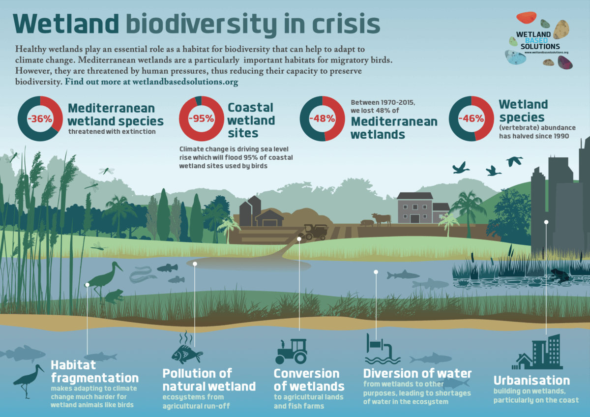 UN Biodiversity on Twitter "Take a look at WetlandsNbS's insightful