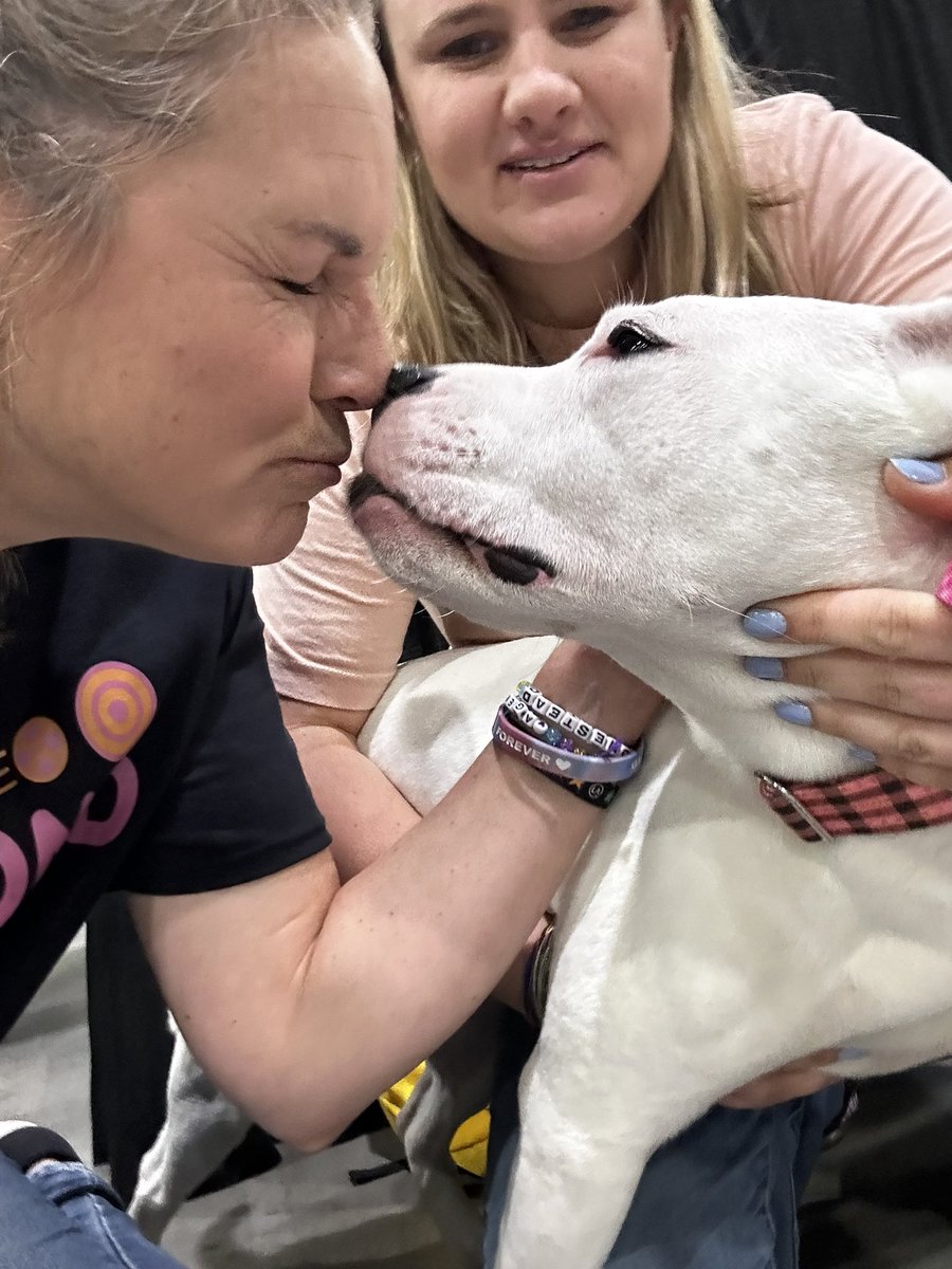 It’s true love with <a href="/KateDrummond_/">Kate Drummond</a> ❤️❤️❤️❤️❤️ 

#selfieswithwaverly #EDE2023 #earpers #earpdog