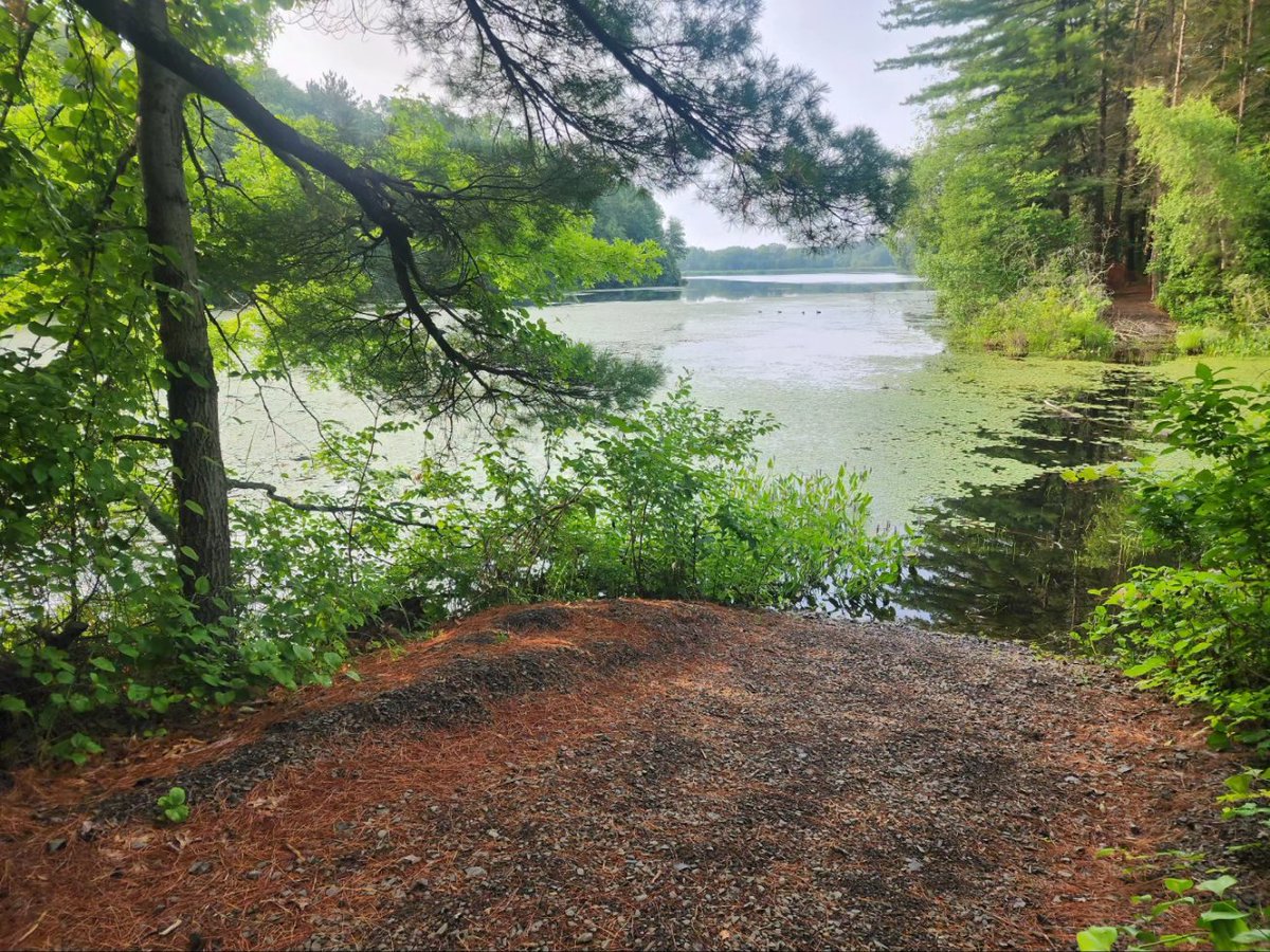 Beautiful morning for a walk! I left my feral munchkins home, so I was able to do the full loop.