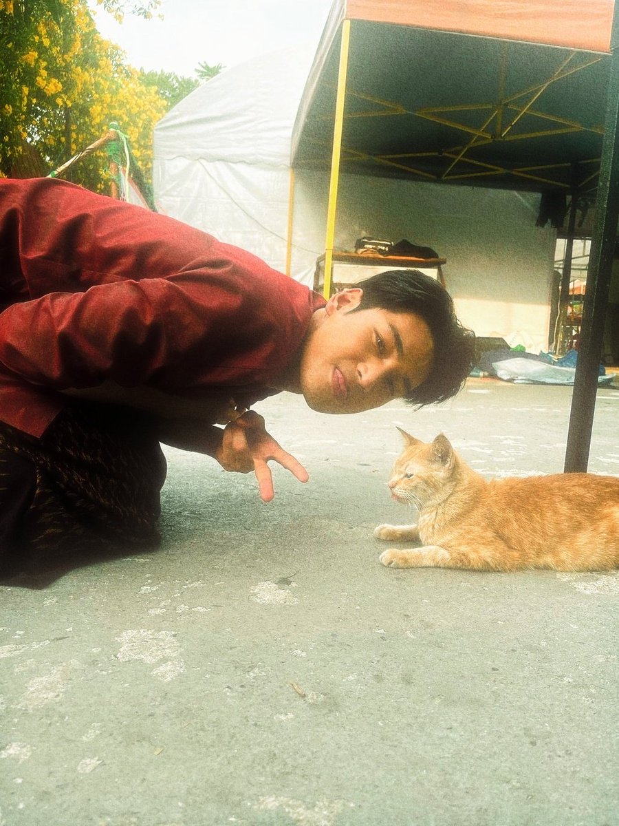 feb94z's tweet photo. ….？　　 ／￣￣＼
　　　 ／ 　〇・   ＞
　　 ／　 　ε　   │
　 ／　　 　〇・  ＞
　(つ＿と＼＿＿／
　 ∪　∪ #nnattawin y2k cats! https://t.co/otllkwilbS