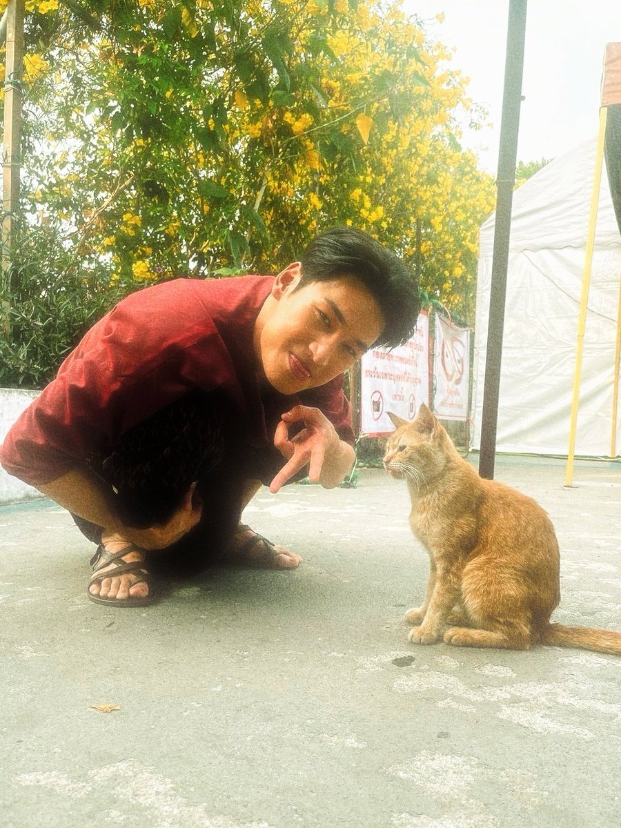 feb94z's tweet photo. ….？　　 ／￣￣＼
　　　 ／ 　〇・   ＞
　　 ／　 　ε　   │
　 ／　　 　〇・  ＞
　(つ＿と＼＿＿／
　 ∪　∪ #nnattawin y2k cats! https://t.co/otllkwilbS