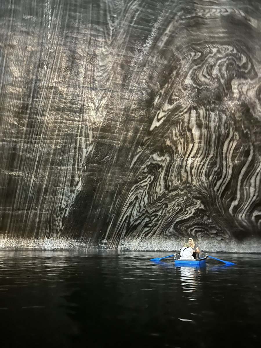 Dr. Charlotte Bücken tweet media