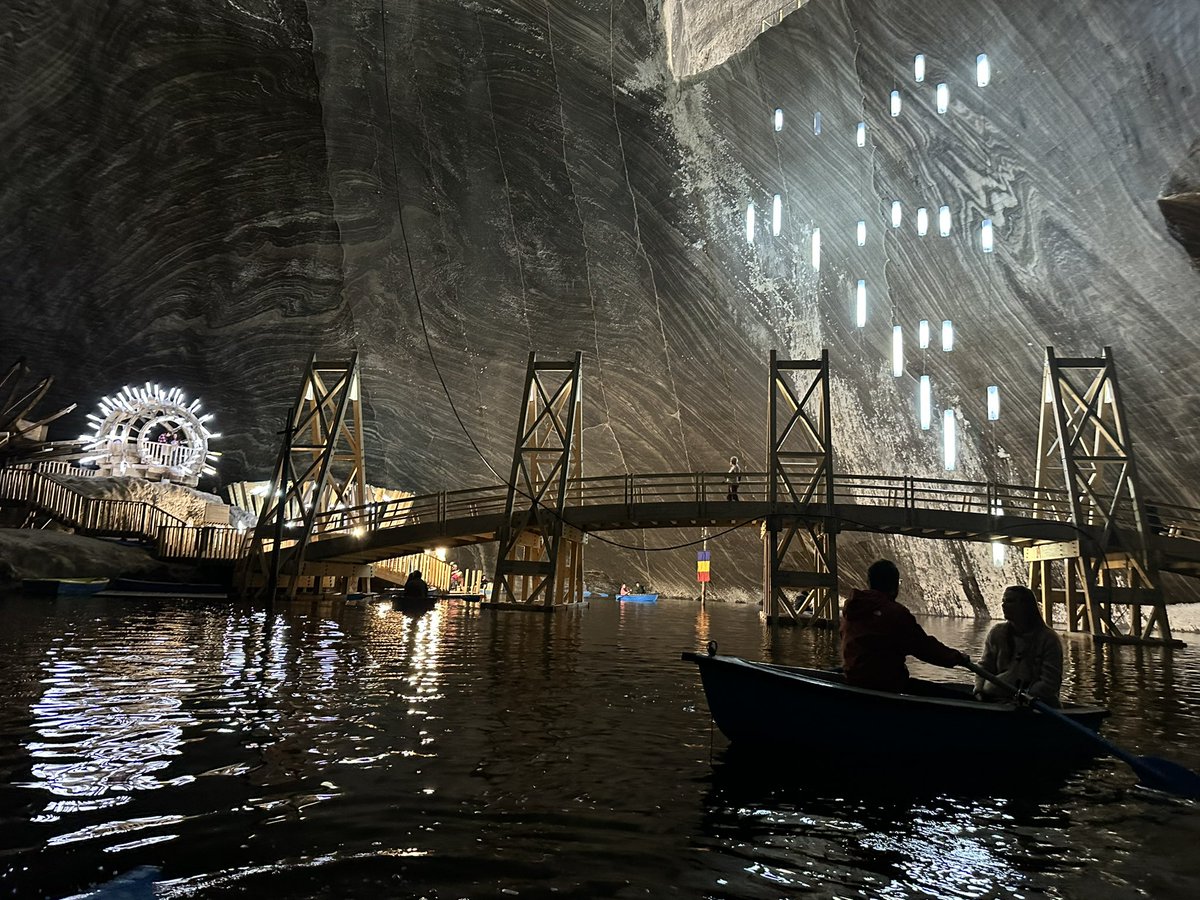Dr. Charlotte Bücken tweet media
