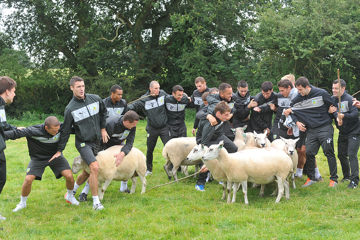 Fordyfoureyes's tweet image. Recently Eddie Howe mention that he took a team sheep herding for a team bonding exercise... here a few pics when he took the Clarets