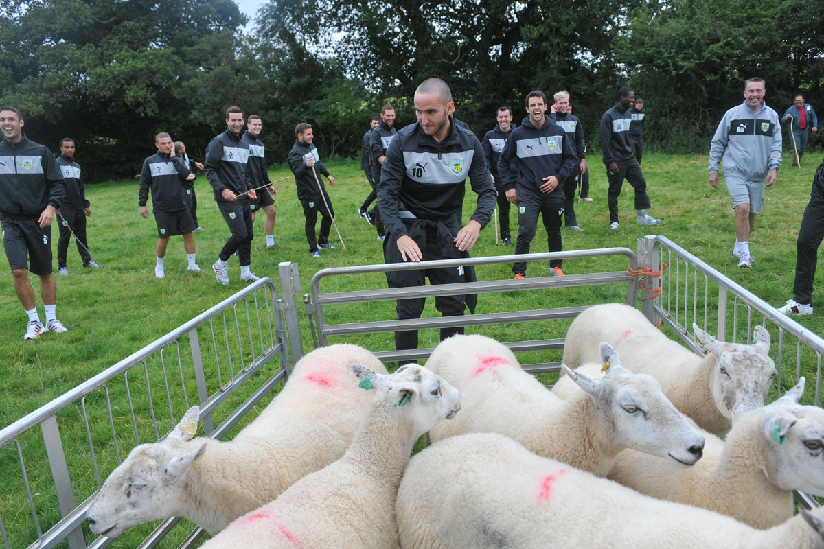 Fordyfoureyes's tweet image. Recently Eddie Howe mention that he took a team sheep herding for a team bonding exercise... here a few pics when he took the Clarets