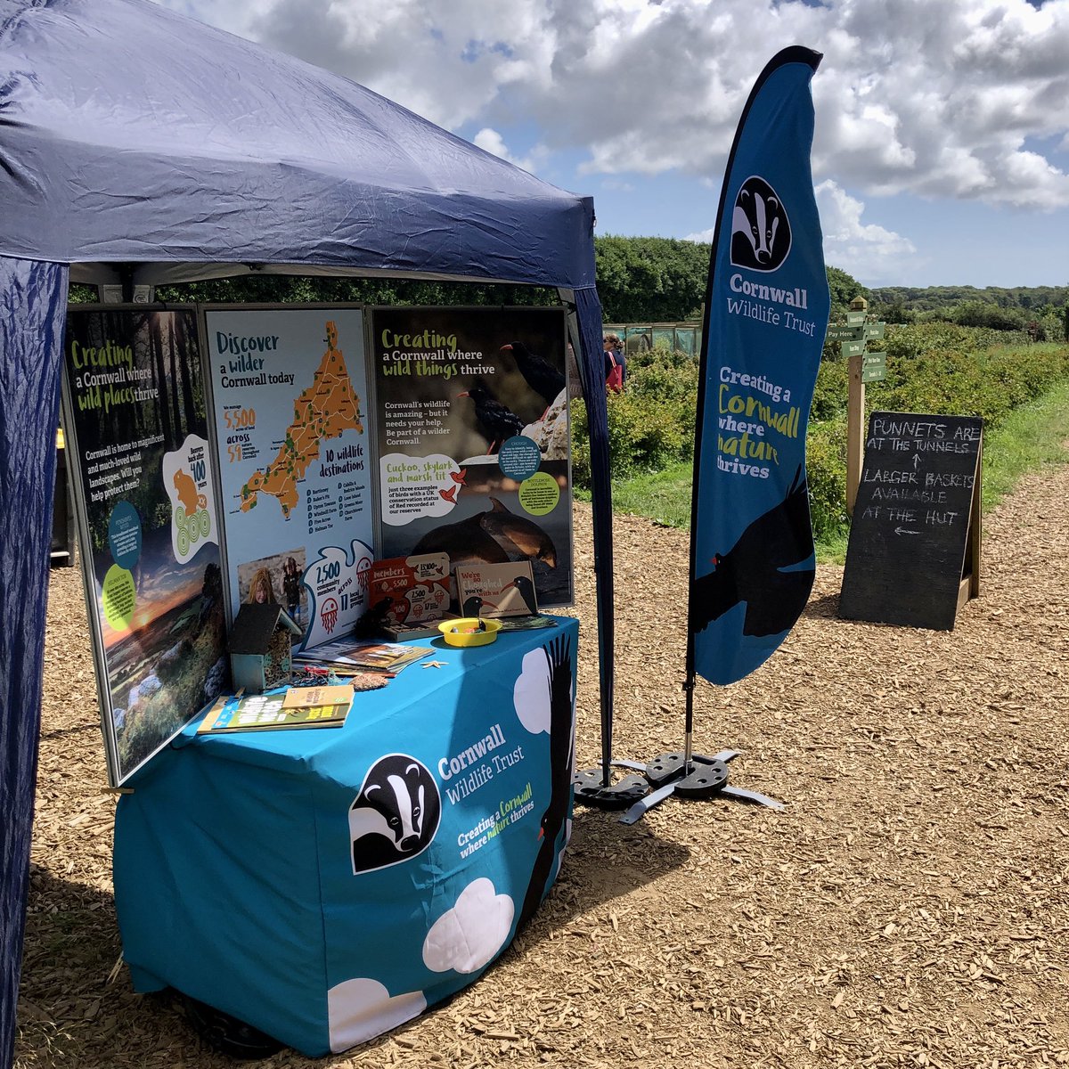 WildGloweth's tweet photo. Thanks to @trevaskisfarm for having us today. A beautiful day to pick-your-own delicious fruit and stop for a chat about Cornwall’s wildlife! 🍓 🦋 🦫 @WildlifeSW @CwallWildlife https://t.co/1dcOEHvKxe