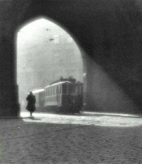 literlandweb1's tweet photo. "Cada día anhelo menos cosas que no puedo tener. He ido encontrando muchas de las deseadas y otras ya no las quiero".
Ángeles Mastretta
📷Josef Sudek https://t.co/typl8WuFB6