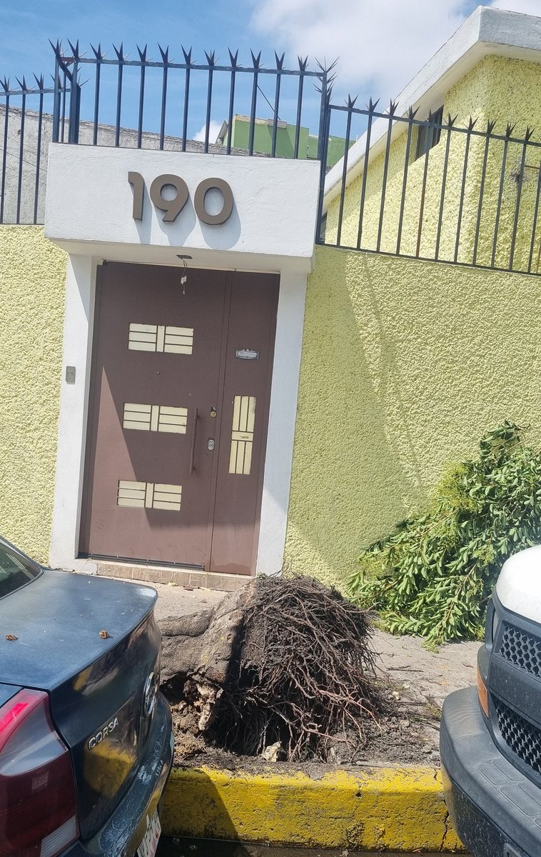 Atención <a href="/SEDEMA_CDMX/">Secretaría del Medio Ambiente</a> @Alcaldía Coyoacan, <a href="/PROFEPA/">Aquileo Parra</a> ecocidio en Mariquita Sánchez 190 Col.Culhuacán CTM VI
