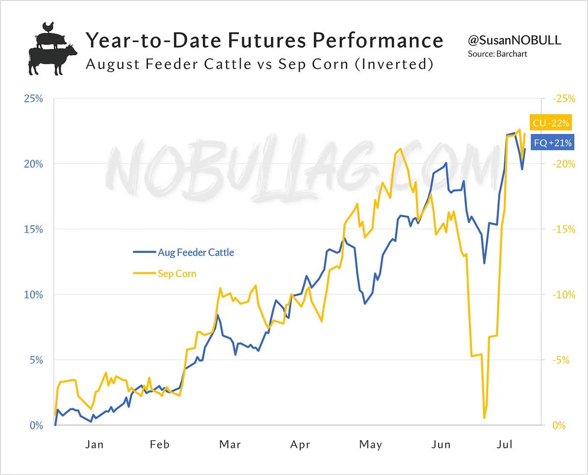 Susan Stroud tweet media