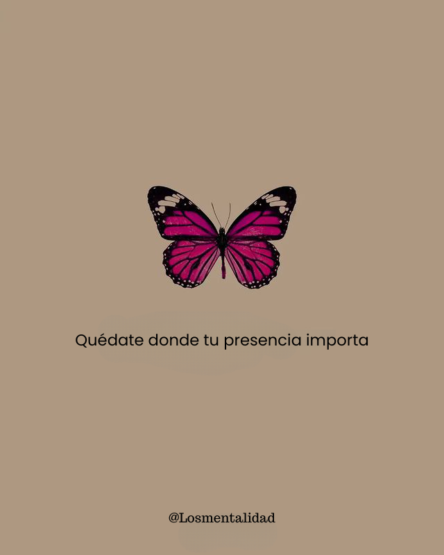 PapaNomada's tweet photo. https://t.co/2EgOl4Hu9d