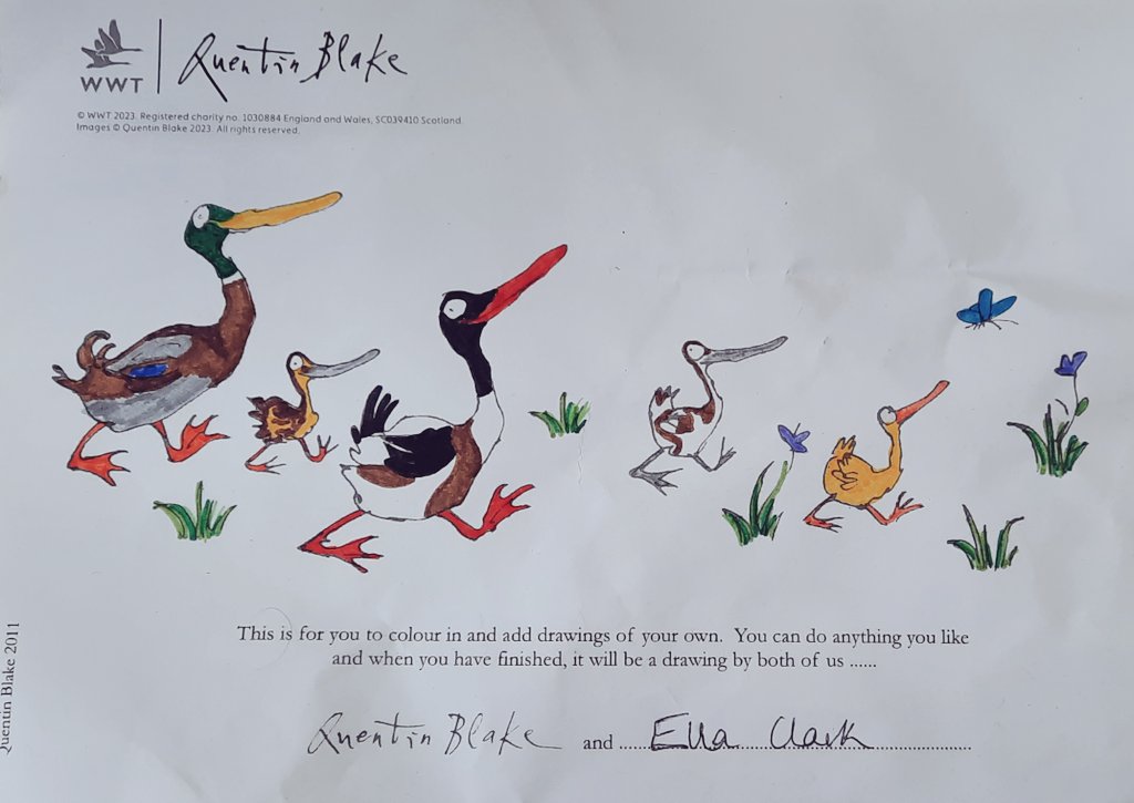 Really enjoying (too much?) the WWT X Quentin Blake Drawn to Water partnership 💧

I realised too late that these bills were more merganser-esque, but here is my take on an inter-species duck family 😊

@WWTworldwide 
@WWTSlimbridge
#QuentinBlake
#DrawntoWater