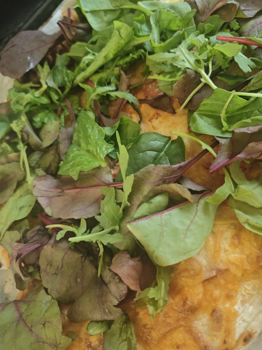 Ninjamor tweet media