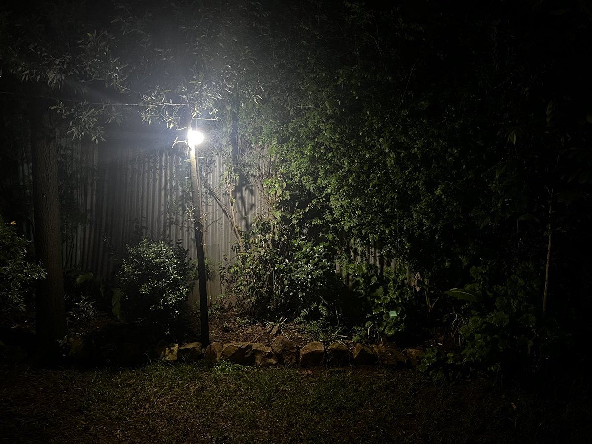 emmujc's tweet image. #night #photograghy #lightpost