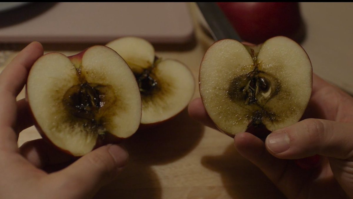 Seire (2021) สามีภรรยาคู่นึงที่เพิ่งมีลูกน้อยมาต้องทำตามประเพณีของบ้านฝ่ายหญิงโดยพ่อแม่ต้องอยู่ตัวติดกับลูกเป็นเวลา 21 วันและห้ามพาคนแปลกหน้าเข้ามาในบ้าน แต่เมื่อฝ่ายชายดันเผลอฝ่าฝืนกฎโดยการไปงานศพและได้นำพาพลังงานบางอย่างติดตัวมาในบ้าน หายนะต่างๆจึงได้เกิดขึ้นทั้งครอบครัว (1)