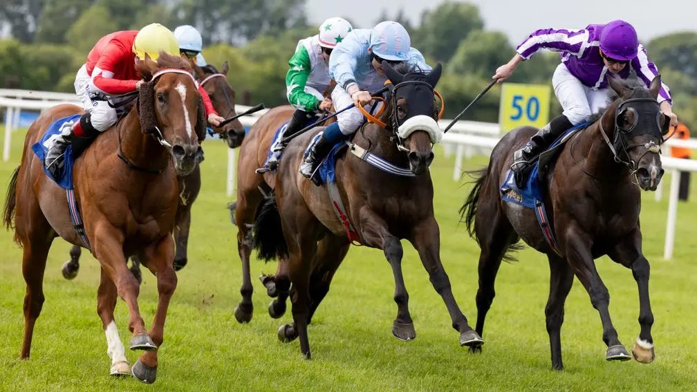 rpbloodstock's tweet photo. 🗣️ “She wasn't the biggest but her back was still high and we knew she was going to grow into a nice filly.”
Breeze-up reject Gaenari taking second chance with Diego Dias 👉 https://t.co/aHeR9d1Vap https://t.co/drxmA9FL8O