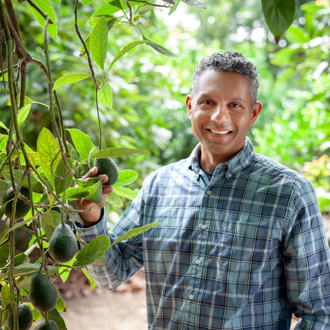 Calavo Growers tweet media