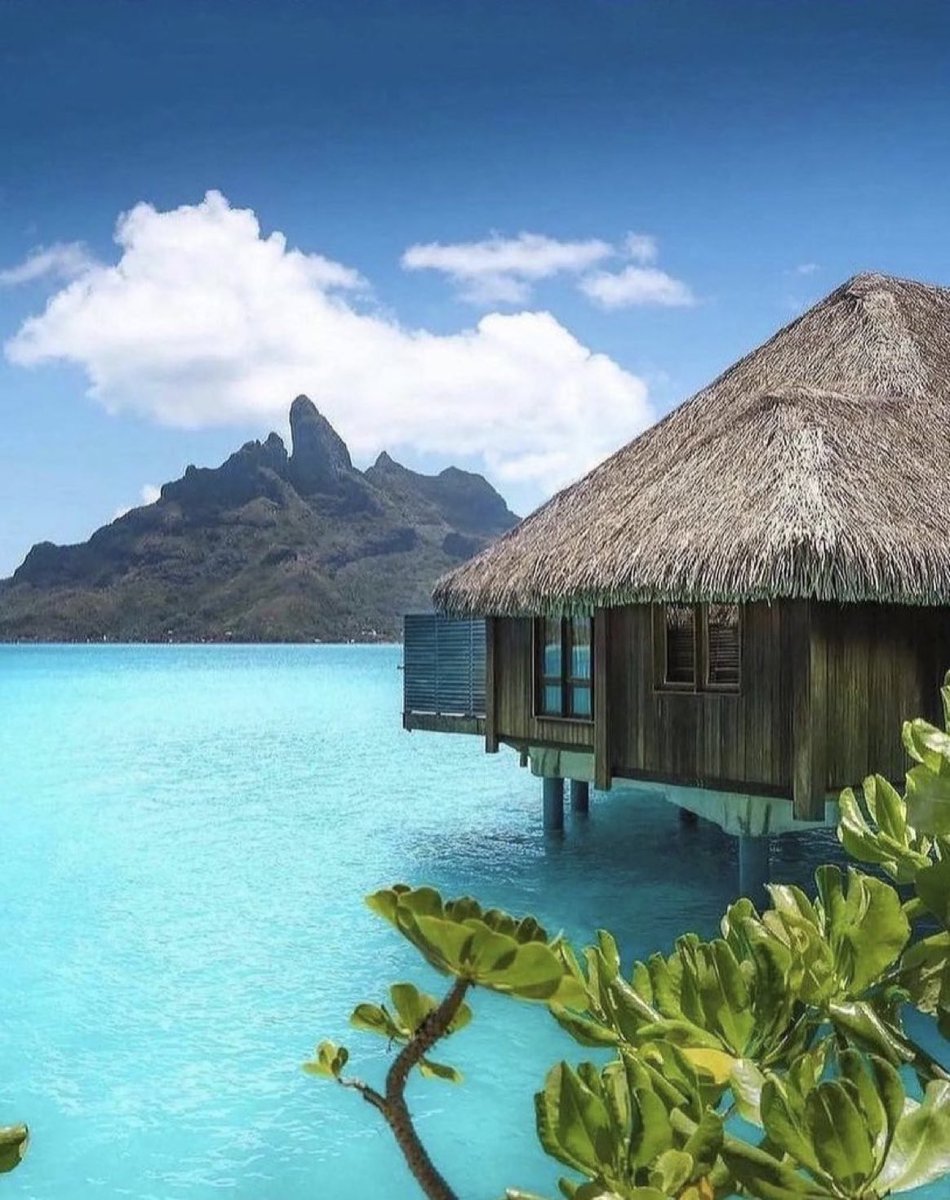 viewsoff's tweet photo. Paradise in Bora bora. https://t.co/dwsJG2ZC7e