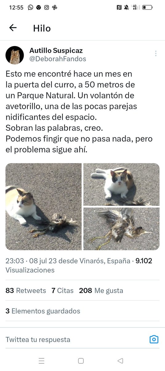 Eduardo Milla tweet media