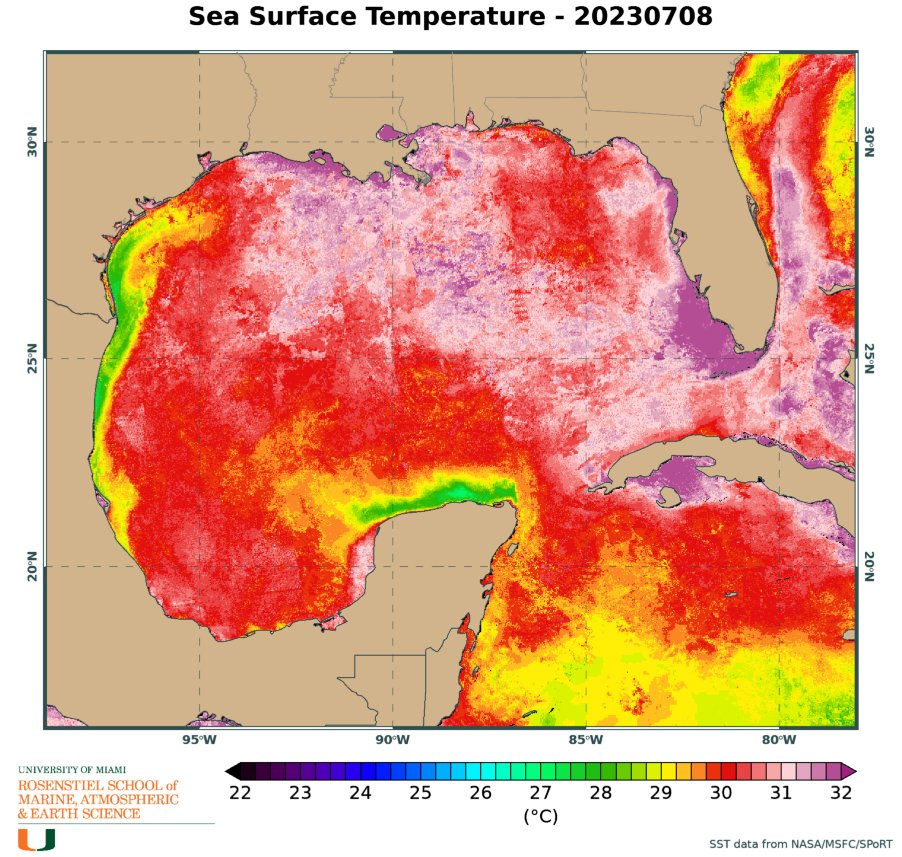 BMcNoldy's tweet image. Ok, not sure I've ever seen the water around Florida look quite like this before... at any time of year. 😬