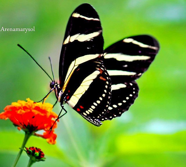 <a href="/BraydenCreation/">Brayden Creations</a>