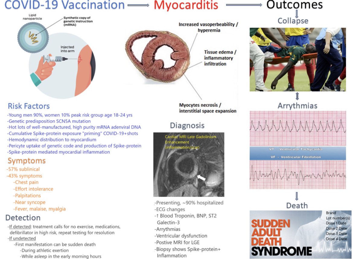 Athletes have higher rates of C19vax myocarditis because of myocardial flow, LVH, and adrenaline surges.  mRNA and Spike last months to years per shot.  All should be screened if took ill-advised injections. #courageousdiscourse