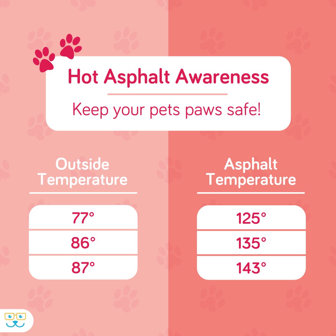 vetvillage's tweet image. Ouch! Don’t let your best bud burn those precious paws! #summer #summerpets #summerpetsafety