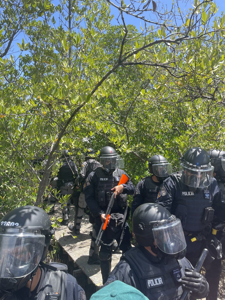 Vean cómo la Policia de Puerto Rico protege a los Criminales Ambientales…¡Juzgue usted!