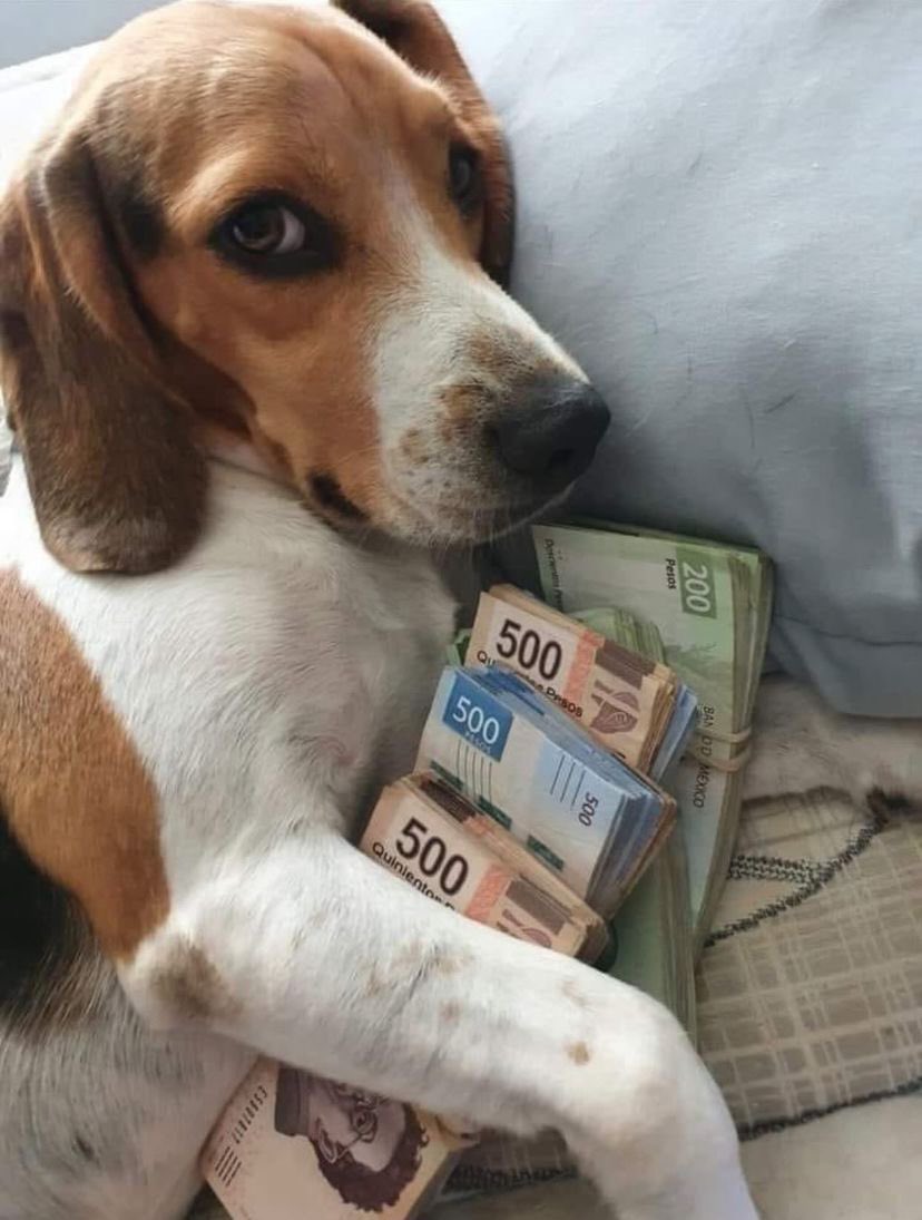 - ¿Y que necesitas para ser feliz?

Yo: