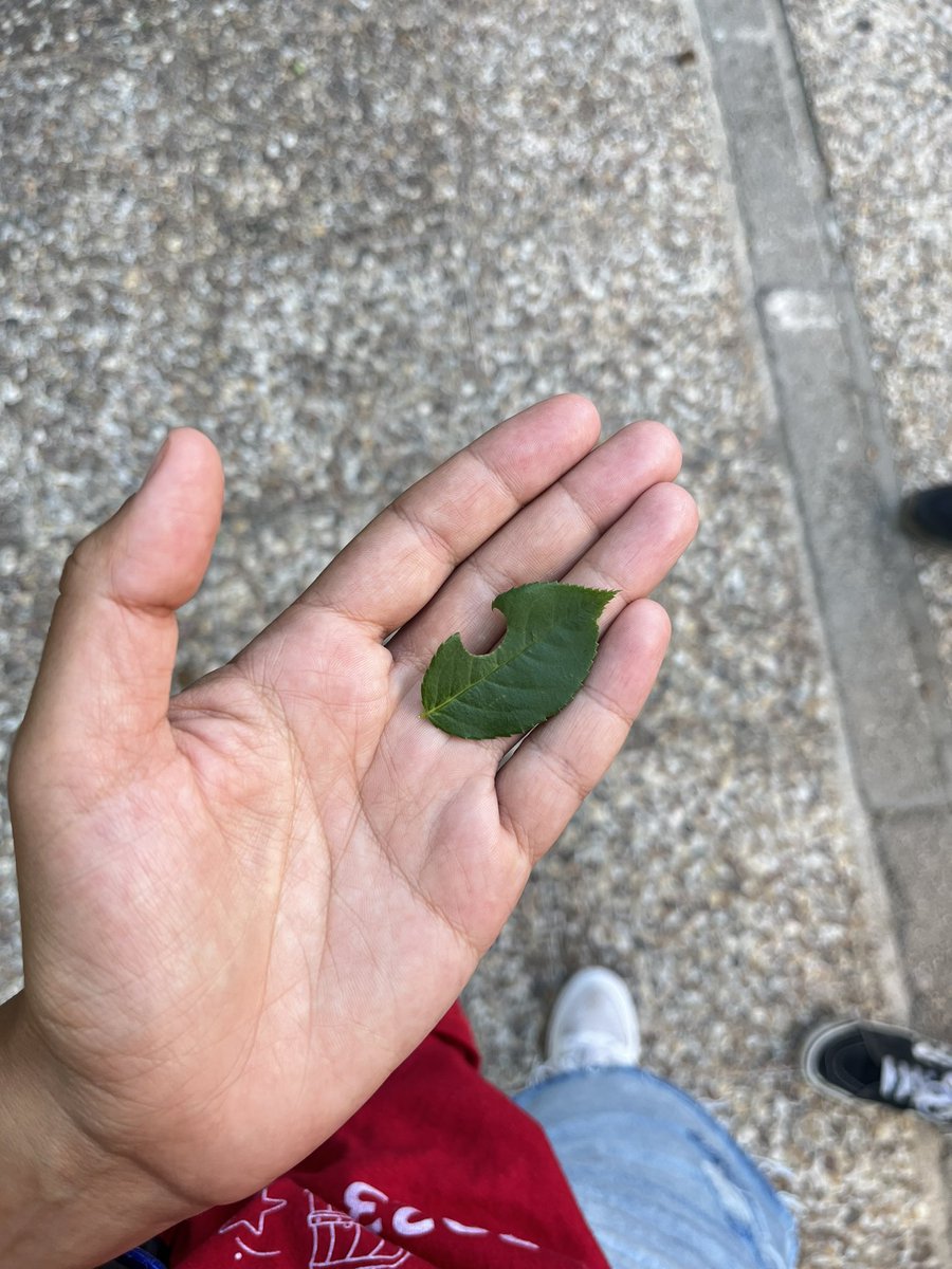 MartaHorcajo's tweet photo. Encontré la cómoda corazón q me faltaba para la habitación del animal crossin https://t.co/QlOmgcoSTW