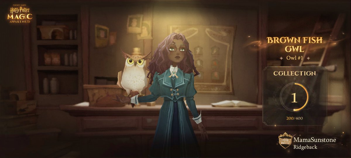 A must for every aspiring Wizard — an Owl!