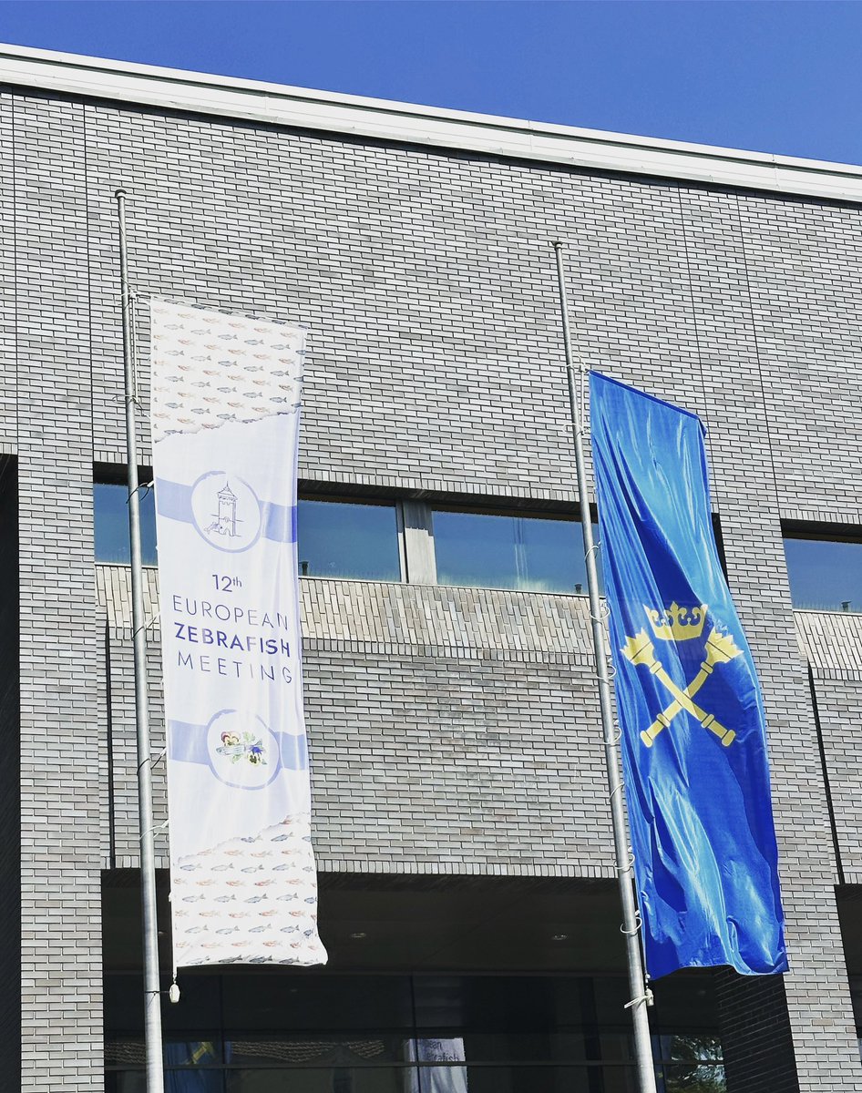 daniolabs's tweet photo. Danio Lab is at the 2023 European #Zebrafish Meeting in Krakow, visit us in booth E22 to learn more about how we can #accelerateresearch #ezm2023 https://t.co/PdcRCGYYI6
