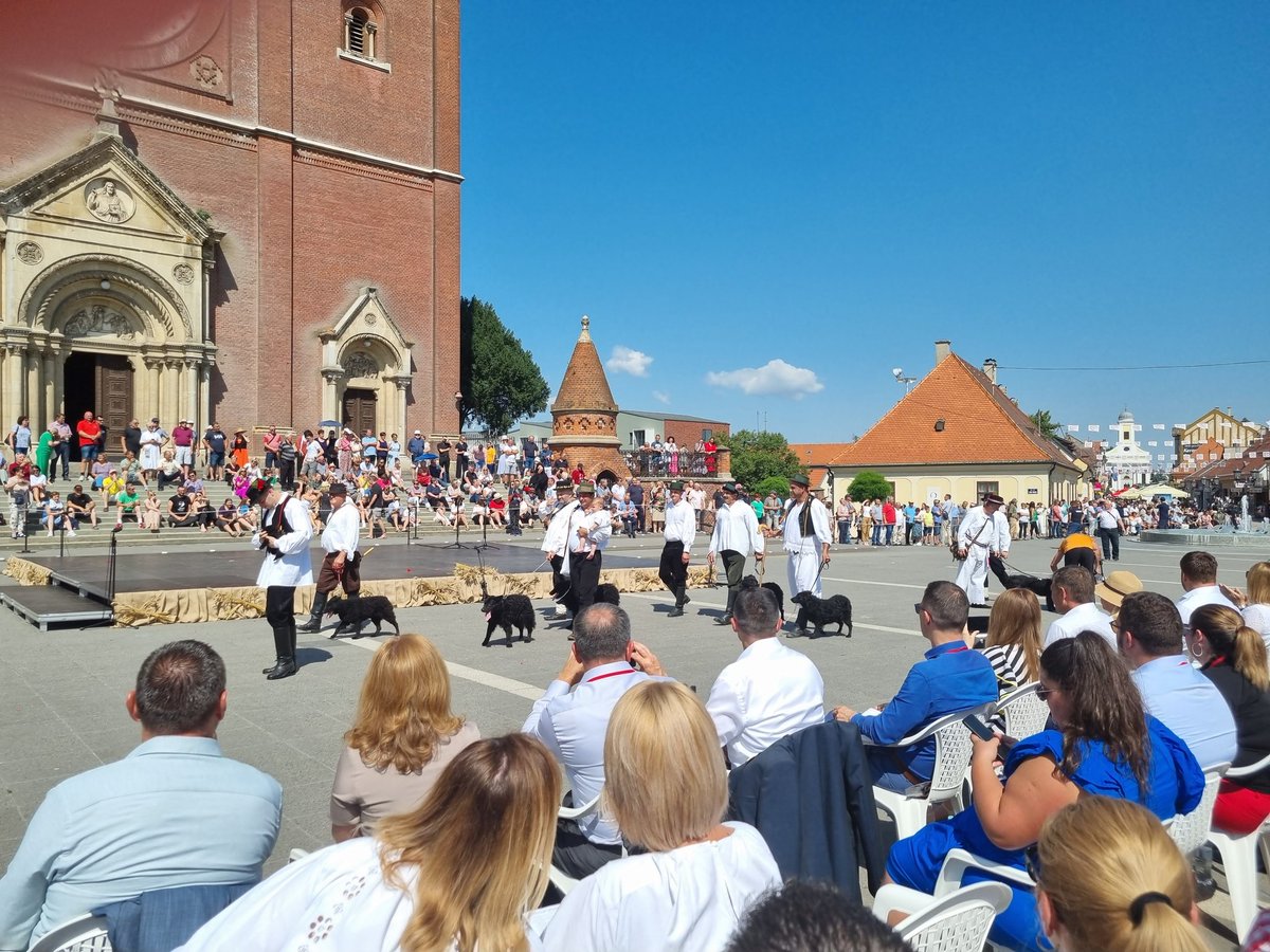Hrvatska Riječ tweet media