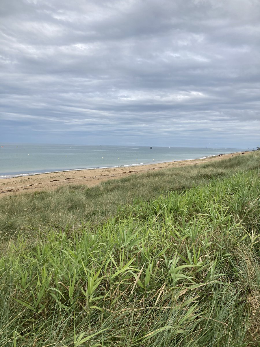 Bill Acres tweet media