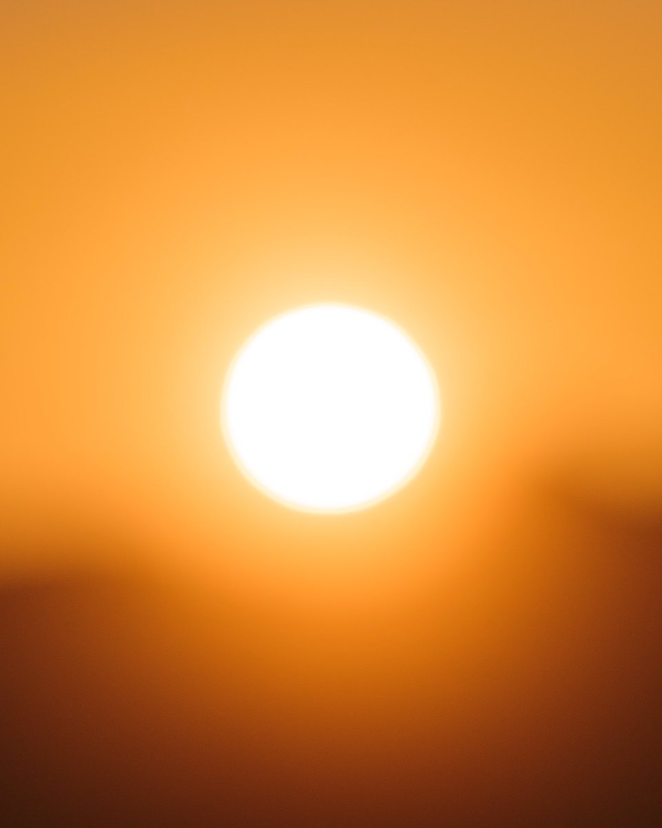 Nadine Bauer tweet media