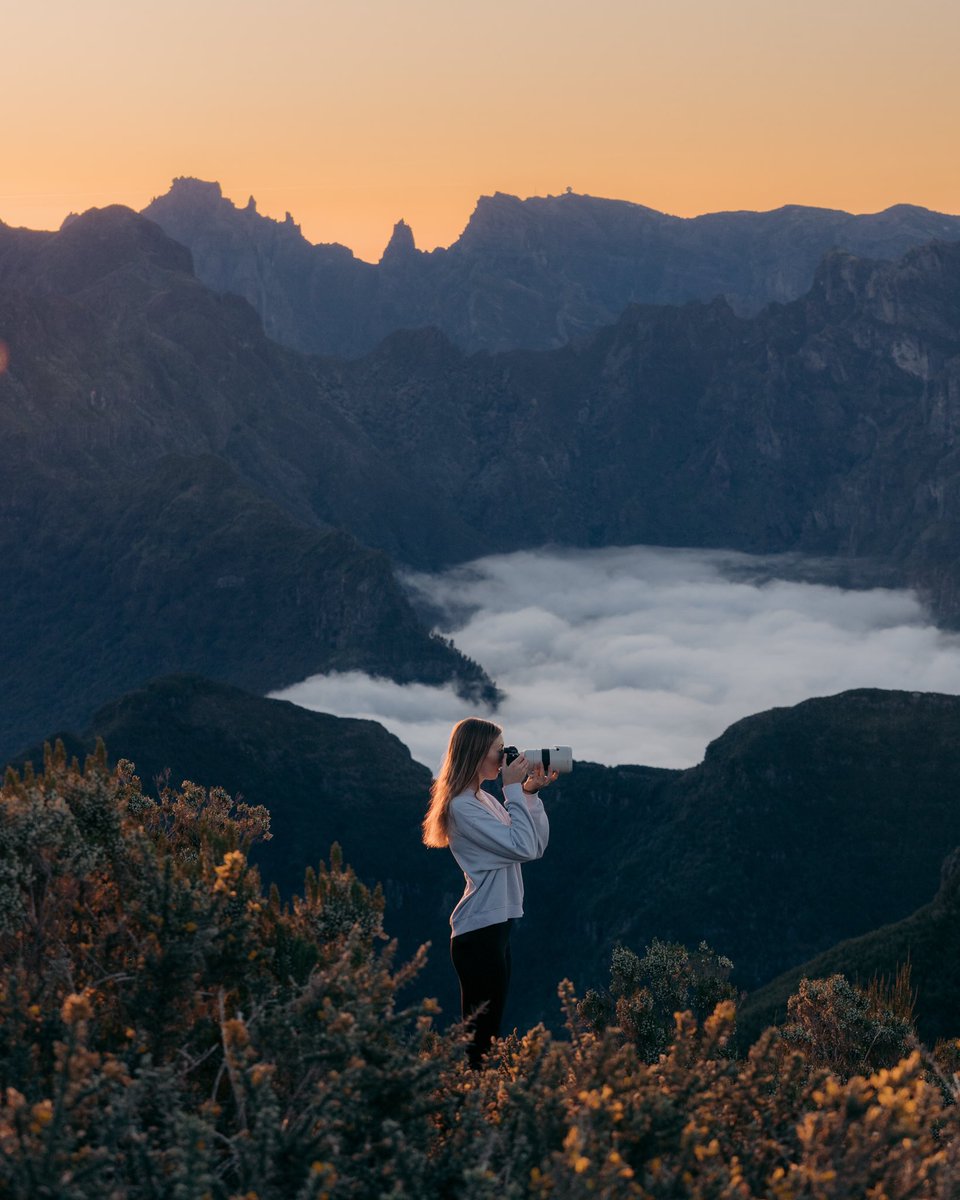 Nadine Bauer tweet media