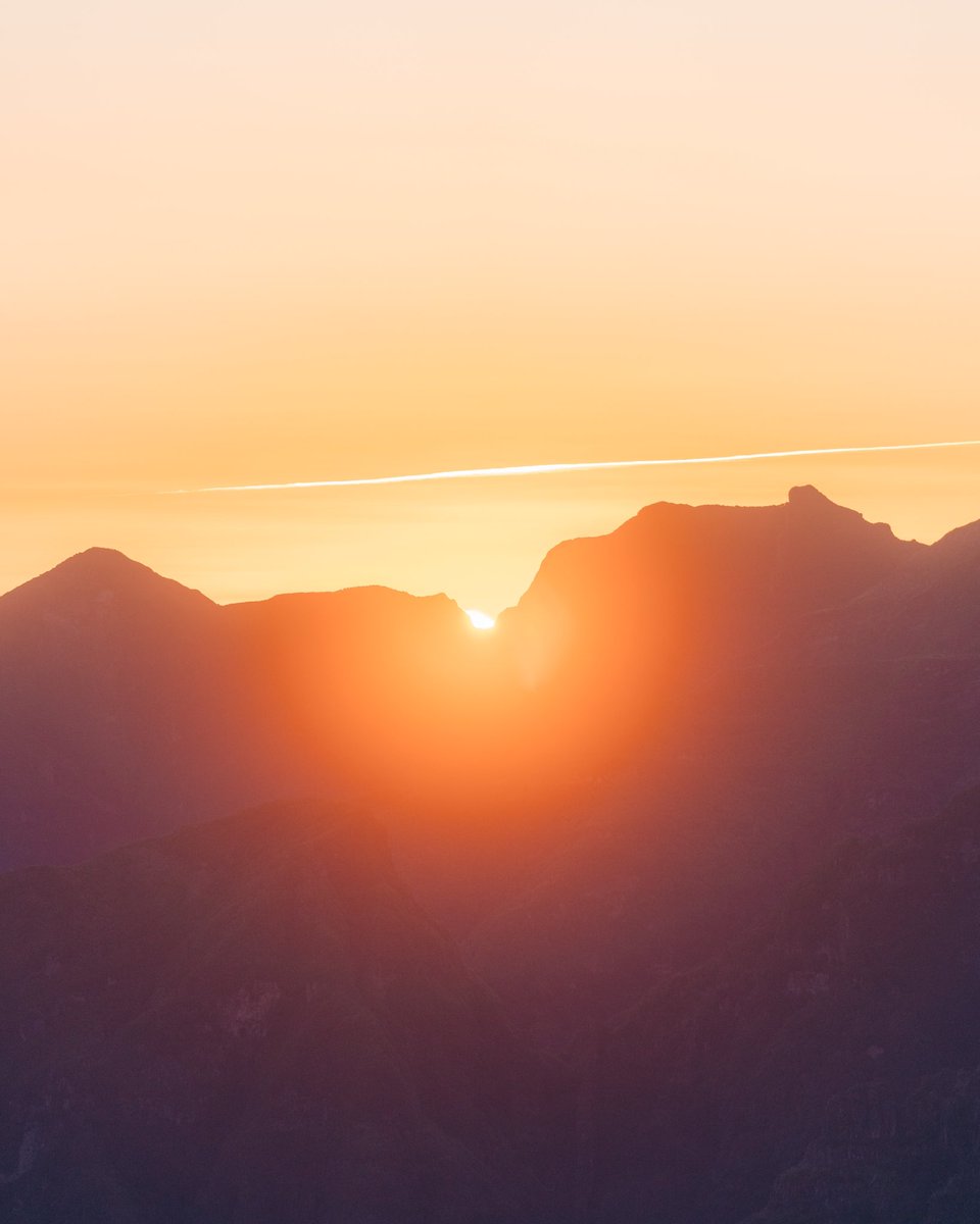 Nadine Bauer tweet media