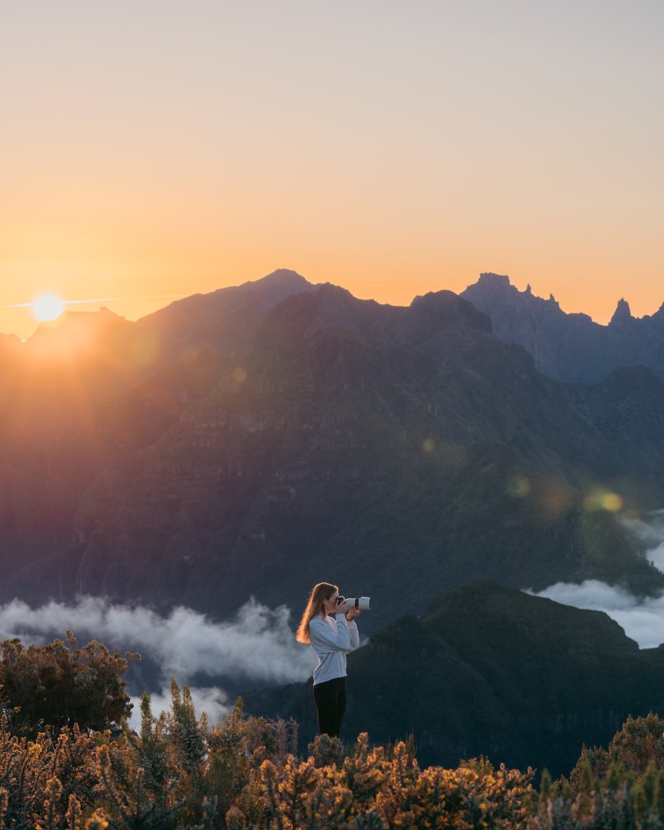 Nadine Bauer tweet media