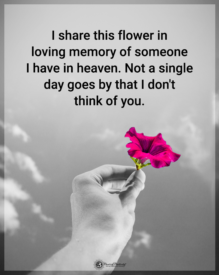 TrainingMindful's tweet photo. “I share this flower in loving memory of someone I have in heaven. Not a single day goes by that I don’t think of you.” https://t.co/yUcppi96IE